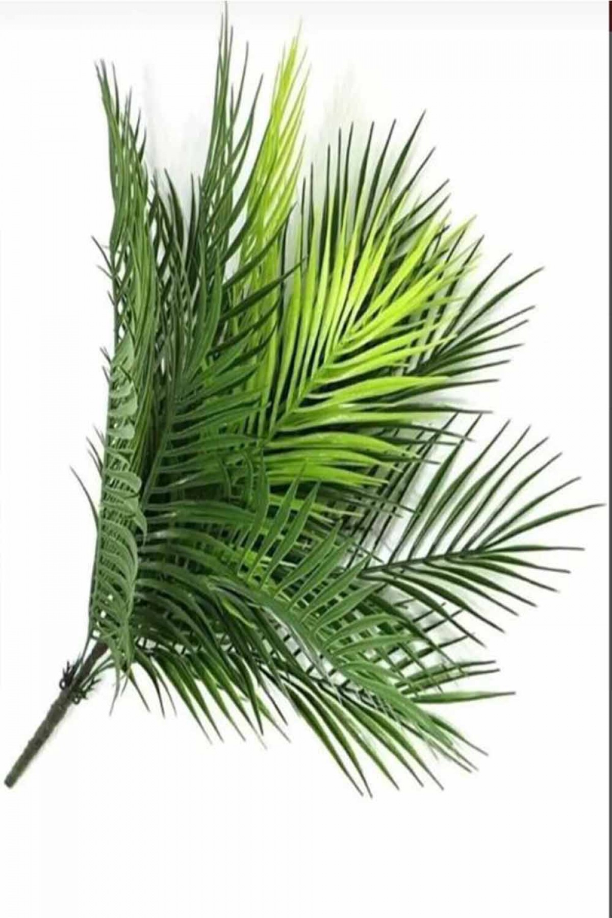 Çiçek Yaprak Palmiye 1 Adet