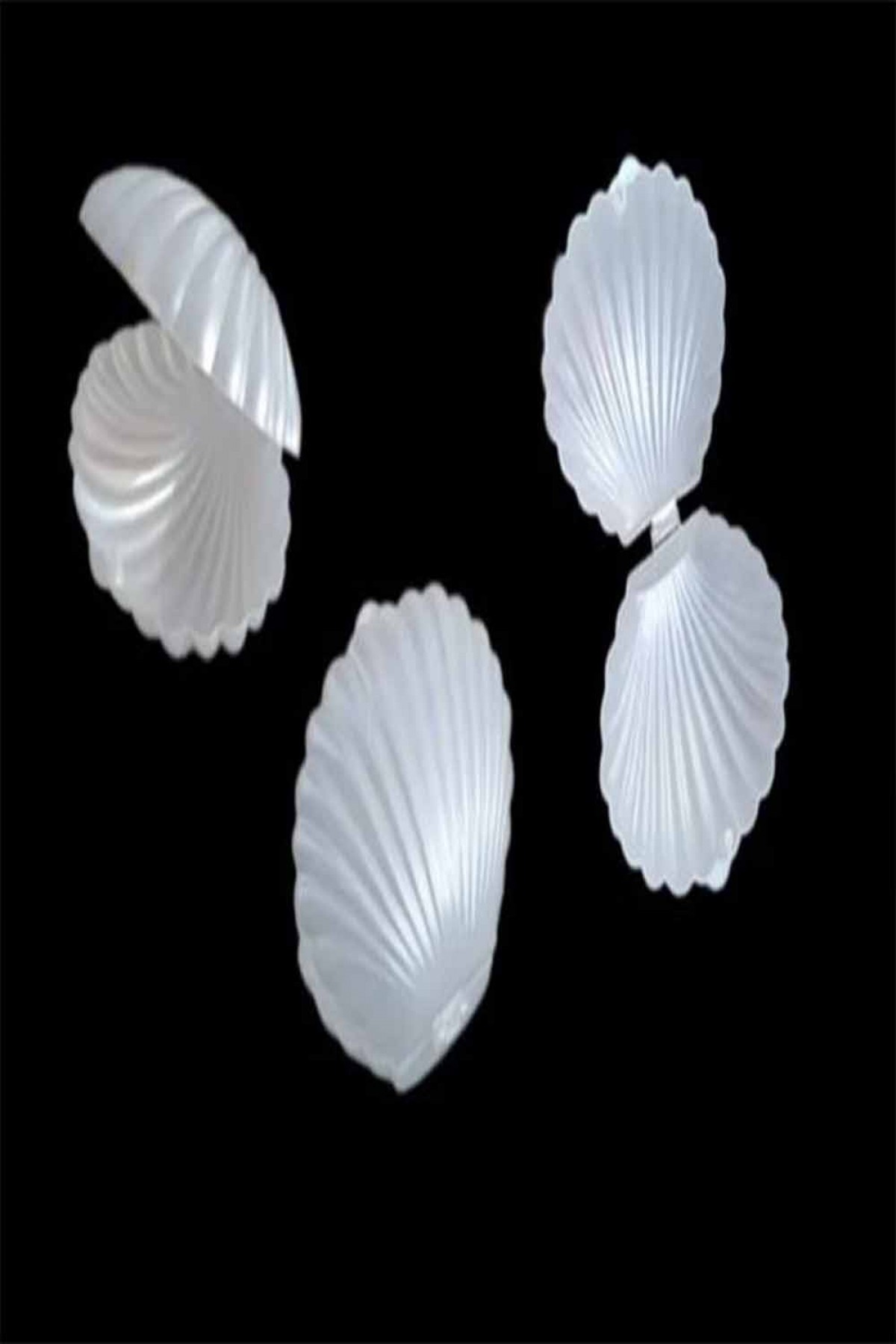 İstiridye Kutu Beyaz