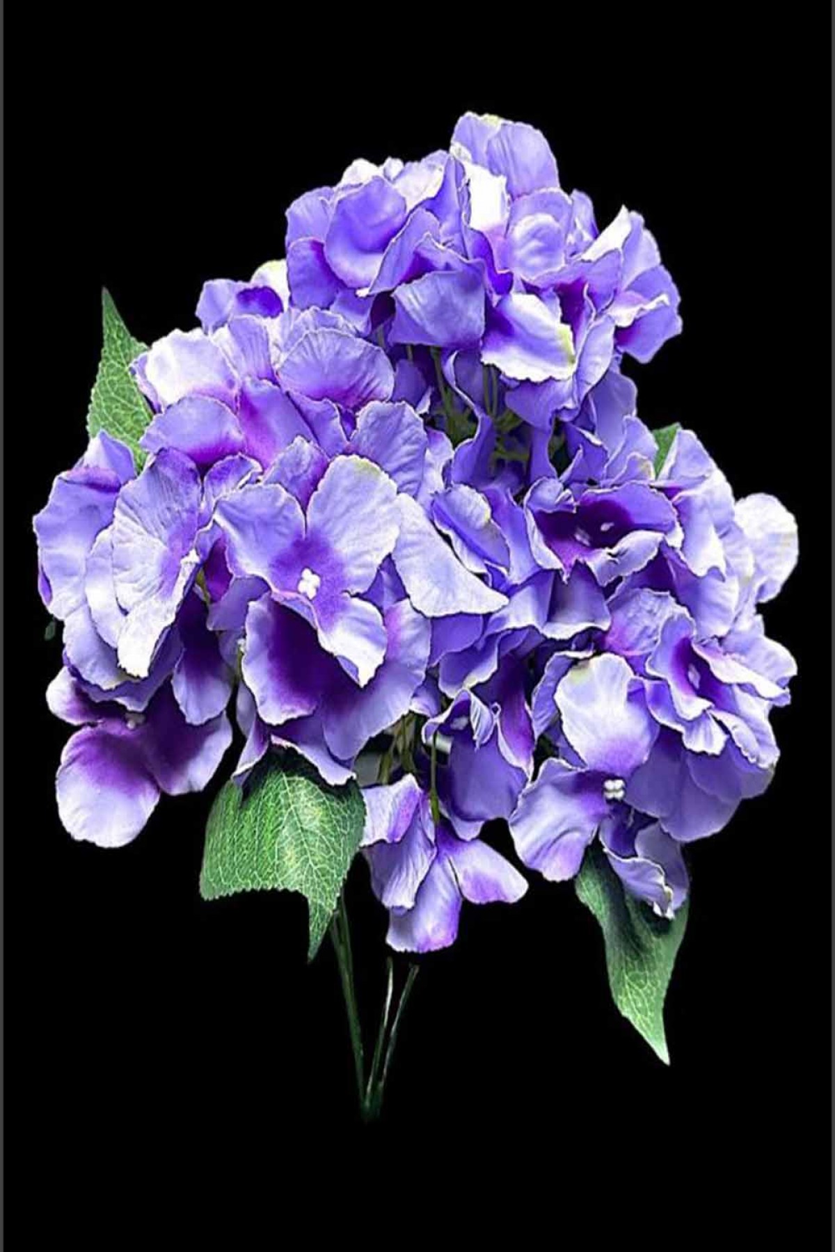 Ortanca Buket Çiçek 5 Renk