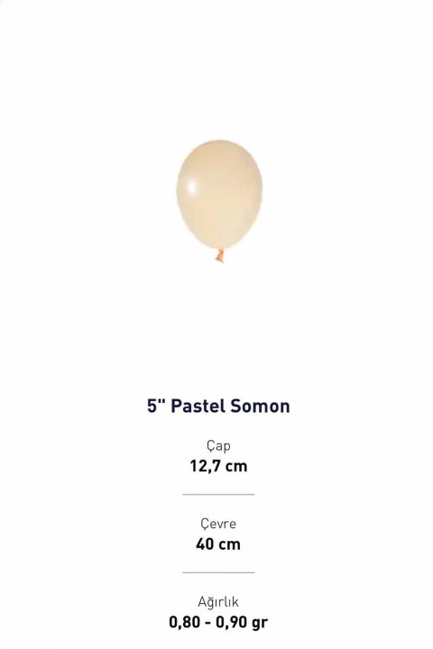 5” Somon  Pastel balon Evi 100’lü