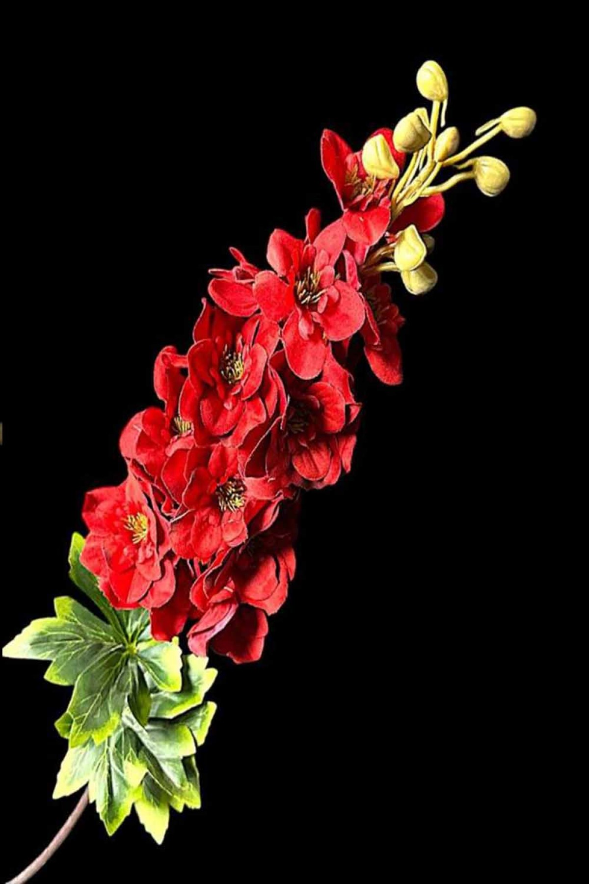 Şebboy Dal Çiçek 5 Renk