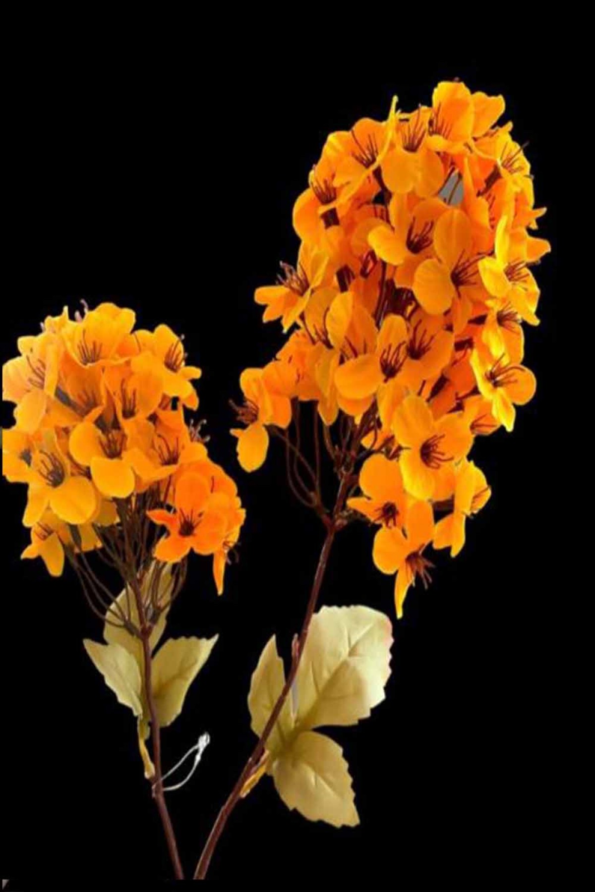 Sümbül Dal Çiçek 6 Renk